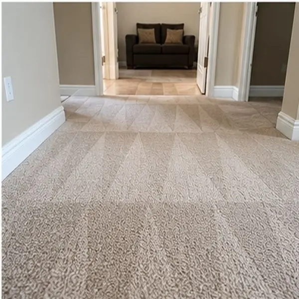 Carpet cleaning results in Williamstown VIC